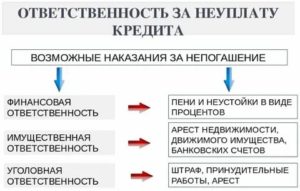 Уголовная ответственность за неуплату кредита в России