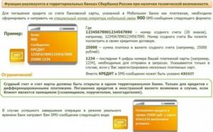 Кредитная карта Сбербанка: условия погашения кредита