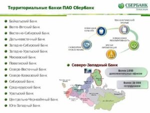 Территориальные банки Сбербанка России