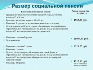 Социальная пенсия, размер социальной пенсии по старости в России