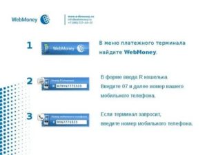 WebMoney Transfer платежная система онлайн, регистрация и получение сертификата в WebMoney Transfer