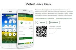 Мобильный банк Россельхозбанка: как подключить, пользоваться, отключить