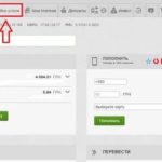Кредитные карты Совкомбанка: условия, онлайн-заявка