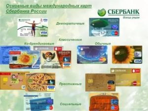 Обзор Молодежной карты Сбербанка России