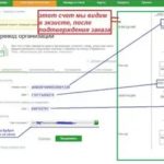 В чем подвох карты рассрочки Совесть?