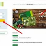 Зарплатные карты: какой банк выбрать